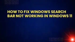 How to Fix Windows Search Bar Not Working in Windows 11