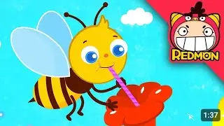 Five Little Bees ( Learn Color Song ) | Toonybuds Nursery Rhymes & Kids Songs