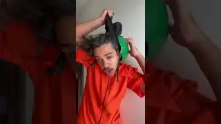 ladr&atilde;o vs gato