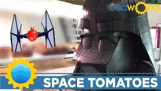 SPACE TOMATOES!