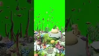 Amazing Seen Green Screen Background inside Water Animals