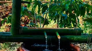 Calm Piano Music and Water Sounds for Yoga, Spa, Meditation, and Sleep 5