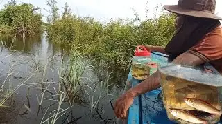 Sitting on a fishing rod
