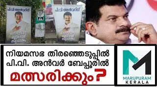 അൻവറിനെ സ്വാഗതം ചെയ്തുകൊണ്ടുള്ള ഫ്ലെക്സ് ബോർഡുകൾ വരെ ഇറങ്ങി 