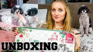 Unboxing Hunde-Adventskalender mit 3 Pudeln 😂🐩