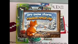 Random Pre-Snow Storm Retail Rip With Kappi!