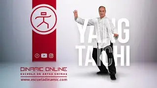 TOMAR LA COLA DEL GORRIÓN - TAI CHI YANG ORIGINAL VS TAI CHI  SIMPLIFICADO
