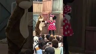 【TDS】ジャンボリミッキー！レッツ・ダンス！#ディズニー #ミニー #デール  #ジャンボリミッキー