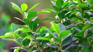 S J EXIM Services-Environment Protection (Management of Contaminated Sites) Rules, 2025