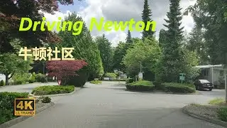 [4K 60fps]  Summer Driving, Newton Community, Surrey , BC, Canada
