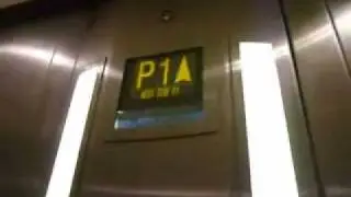 churchill square lifts