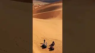 Did you know? Part (398) #desert #sahara #wilderness #knowledge #dailyvideos  #dailyvibes2025