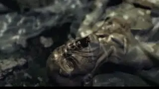 Resident Evil: Outbreak File #2 Walkthrough Part 3: Flashback (Giant Plant Boss Fight)
