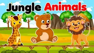 Jungle animals