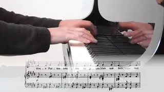 Robert Schumann: Dichterliebe op. 48 - 15 - Aus alten Märchen