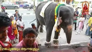 പുത്തൻചന്ത ശ്രീ ഉജ്ജയിനി മഹാകാളി അമ്മൻ ദേവസ്ഥാനം ട്രസ്റ്റ്‌ ഗജപൂജയും ആനയൂട്ടും