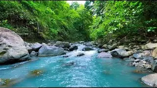 Forest River Stream Sounds for Deep Sleep, Meditation, Stress Relief and Calm Restful Night