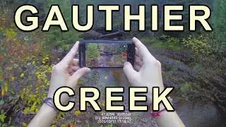 Gauthier Creek at Judge C.R. Magney State Park (Grand Marais, MN) [10-17-25]