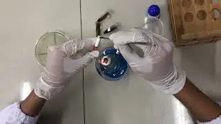 UJI DAYA ANTIBAKTERI EKSTRAK BUNGA KENANGA( Cananga odorata ) TERHADAP BAKTERI Escherichia coli.
