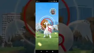 Finally Catching Another Shiny Reshiram From The Raid Day.