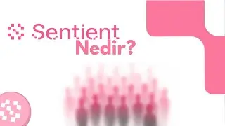 🔍 Sentient (SENT) Nedir? Tokenomik, Vizyon ve T&uuml;m Detaylar