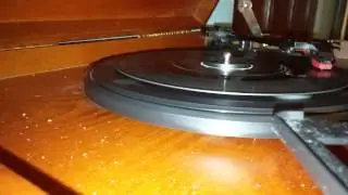 The Tokens- 