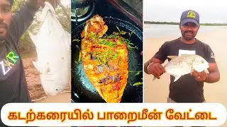 தரமான பாறைமீன் வேட்டை |Trevally fishing from a Shore|Traditional Boy Hunting GT fish from shore🥳💯