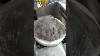 Most Popular Stingray Fish Clean Skills#shorts