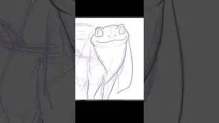 Helioptile Time-lapse