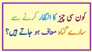 Quran Quiz Questions |Urdu Riddles |Quranic Queries & GK #urduquiz #islamic