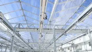 Herbal House Custom LED Grow Light System for CannaSouth Cultivation