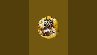 हरयाणवी भजन और गीत is live
