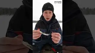 VINKIT MATEENPILKKIMISEEN KUUSAMON NESTORILLA