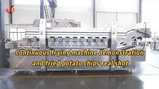 Continuous fryer for frying potato chips.