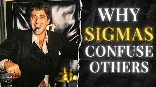 Everyday Behaviors of Sigma Males That Puzzling Everyone