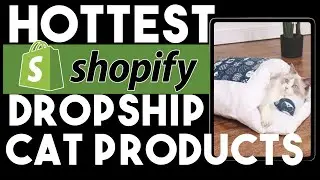 3 Cat Products That Will Sell Like Crazy On Your Shopify Dropshipping Store