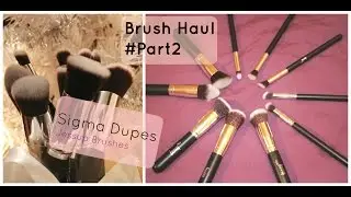 Jessup Makeup Brush haul! #2 (Sigma Dupes)
