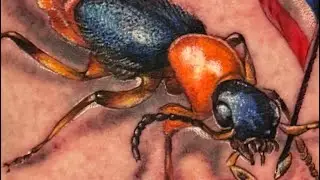 Tattoo: a Rove Beatle Story