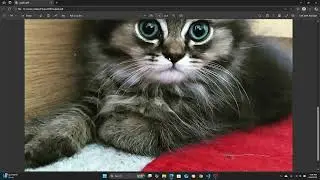 converting images to pdf using python