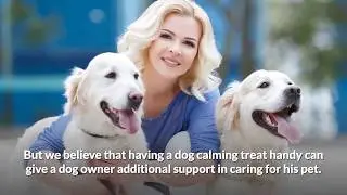 Do Dog Calming Treats Really Work