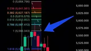 Интенсивный курс по трейдингу на SAIGEx + копитрейдинг + стратегия реальной торговли |проверить д...