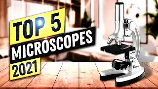 Best Microscope 2022 | Top 5 Microscopes