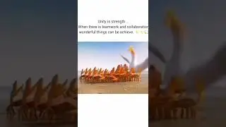 teamwork || animal #shorts #trending