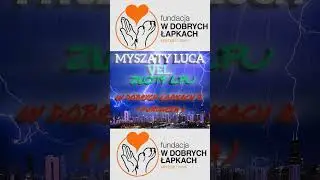 W dobrych łapkach 2 ( Fundacja ) #guitar #rock #hardcorerap #hardrap  #music