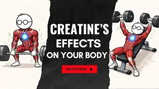 What Happens to Your Body If You Take Creatine Daily? (Science Explained)