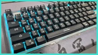 【Typing ASMR】 ⌨️ABKO K980 V1⌨️ w/ NIZ EC (Noppoo)😴