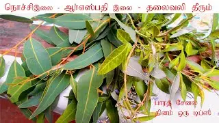 RS Pathi - Notchi Illai  - No Headache Problem solve this leaf