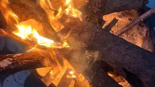 इस कड़ाके की ठंड में सर्वाइव करना एक टास्क है! 🧊☃️