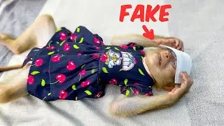 Monkey Kaka pretends to be sick so his mom will pay more attention to him.