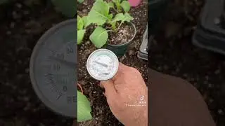 Soil temperature